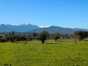 Imagen 6