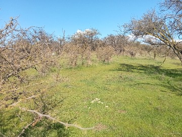 Imagen 5