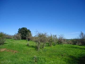 Imagen 7