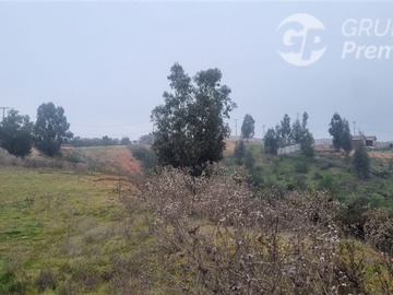 Imagen 8