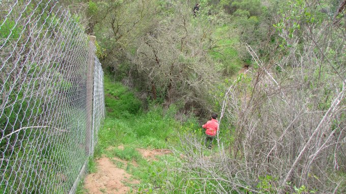 Pendiete hacia lugares secretos especial para niños