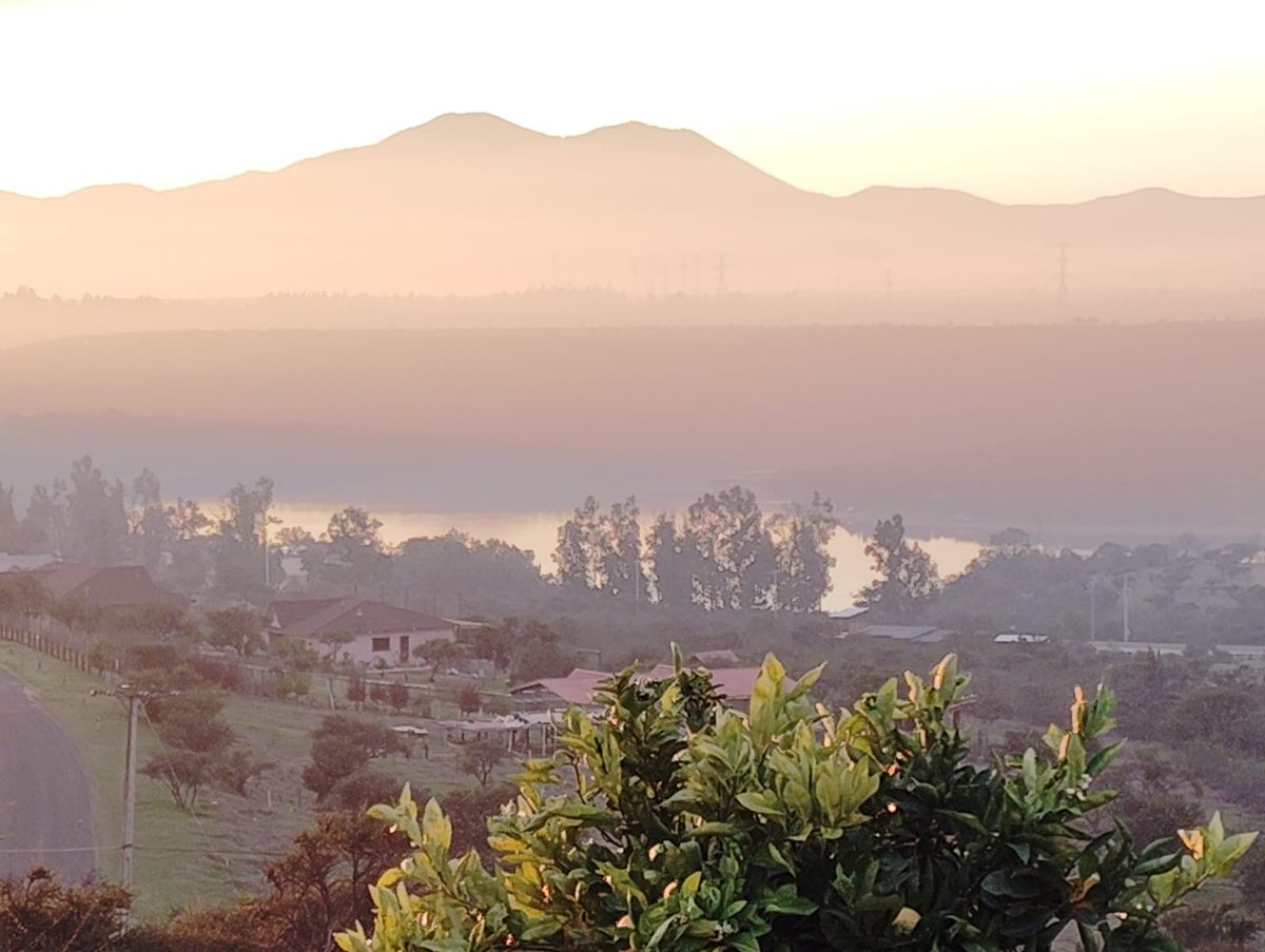 Vista desde parcela