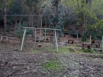 Imagen 12