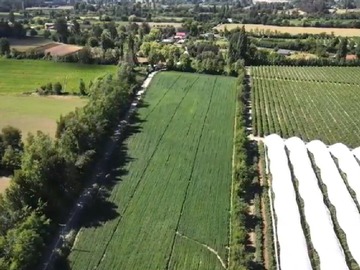 Venta / Parcela / Linares