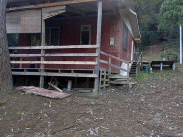 Imagen 5