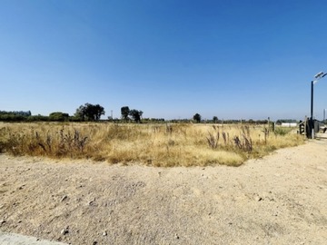 Imagen 8