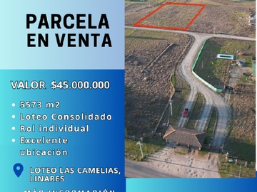 Venta / Parcela / Linares