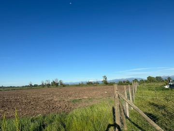 Imagen 10