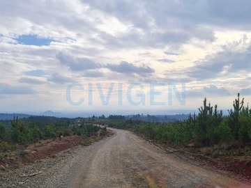 Imagen 15