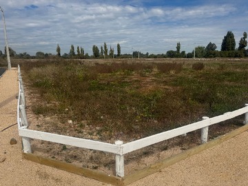 Venta / Parcela / Linares