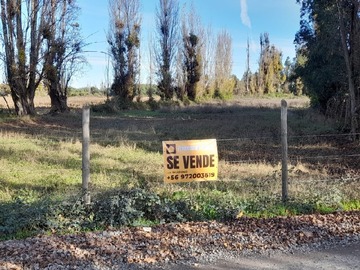 Imagen 7