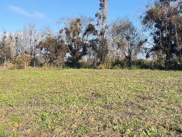 Venta / Parcela / Linares