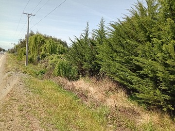 Venta / Parcela / Linares