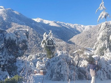 Imagen 5