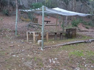 Imagen 7