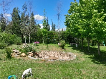 Imagen 7