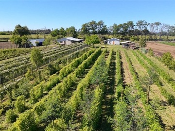 Venta / Parcela / Linares