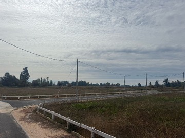 Imagen 14