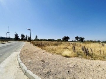 Imagen 7