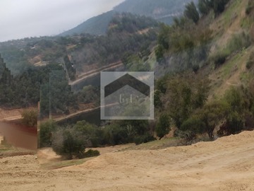Imagen 21
