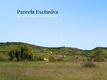 Venta / Parcela / Litueche