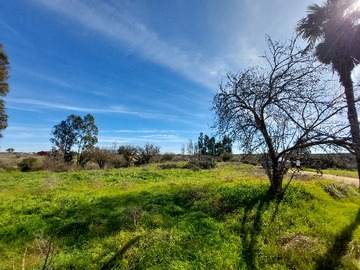 Venta / Parcela / Litueche