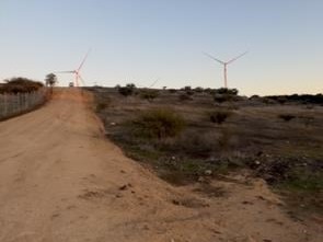Imagen 11