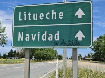 Imagen 7