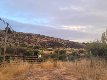 Venta / Parcela / Litueche