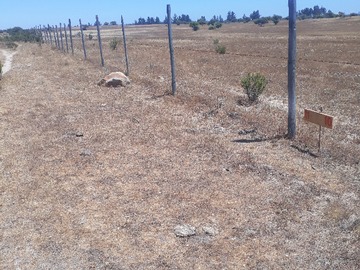 Venta / Parcela / Litueche