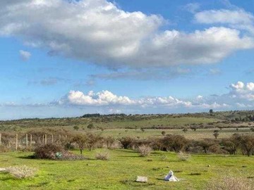 Venta / Parcela / Litueche
