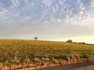 Venta / Parcela / Litueche