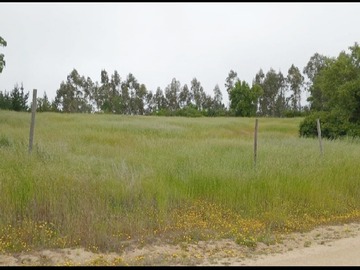 Venta / Parcela / Litueche