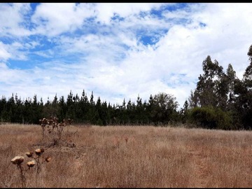 Imagen 6
