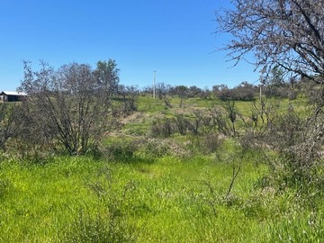 Venta / Parcela / Litueche