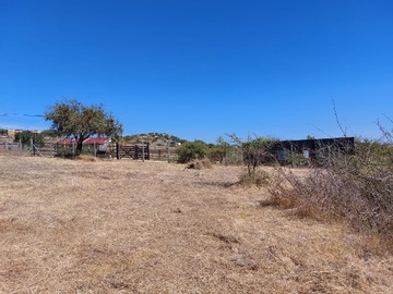 Venta / Parcela / Litueche