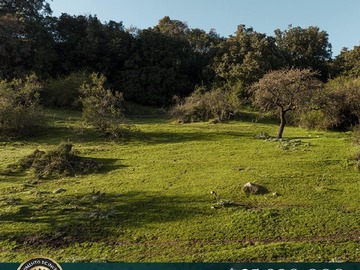Imagen 7
