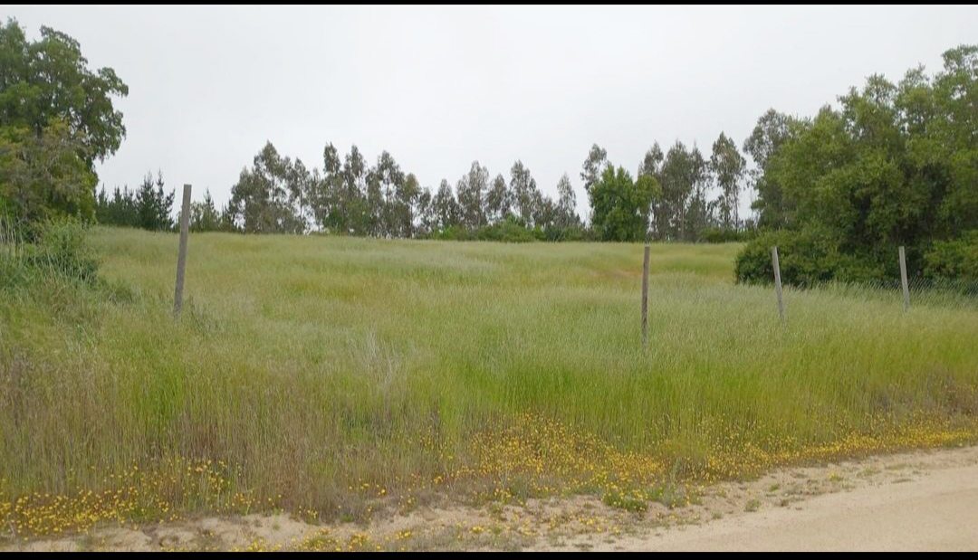 vista parcela