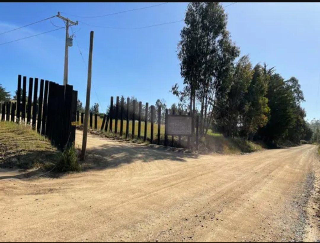 Entrada
