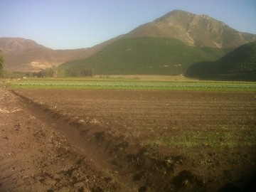 Venta / Parcela / Llaillay