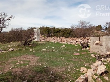 Imagen 6