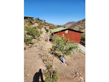 Imagen 5
