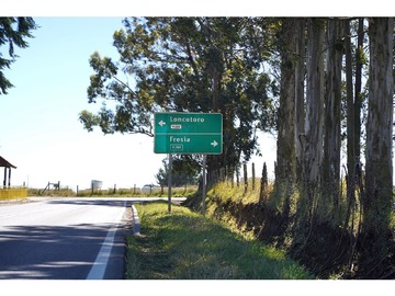 Imagen 12