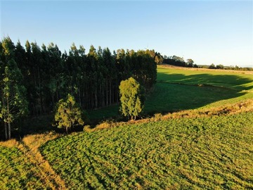 Venta / Parcela / Llanquihue