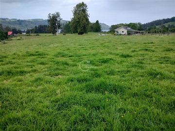 Venta / Parcela / Llanquihue