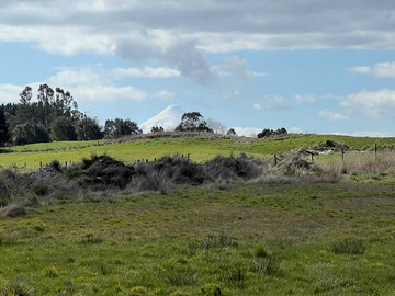 Venta / Parcela / Llanquihue