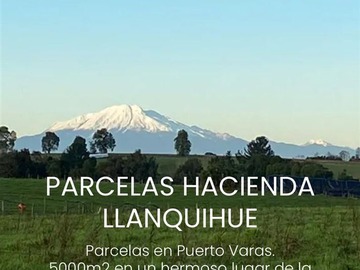 Venta / Parcela / Llanquihue