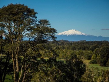 Venta / Parcela / Llanquihue