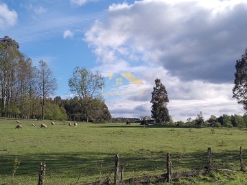 Venta / Parcela / Llanquihue