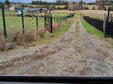 Venta / Parcela / Llanquihue